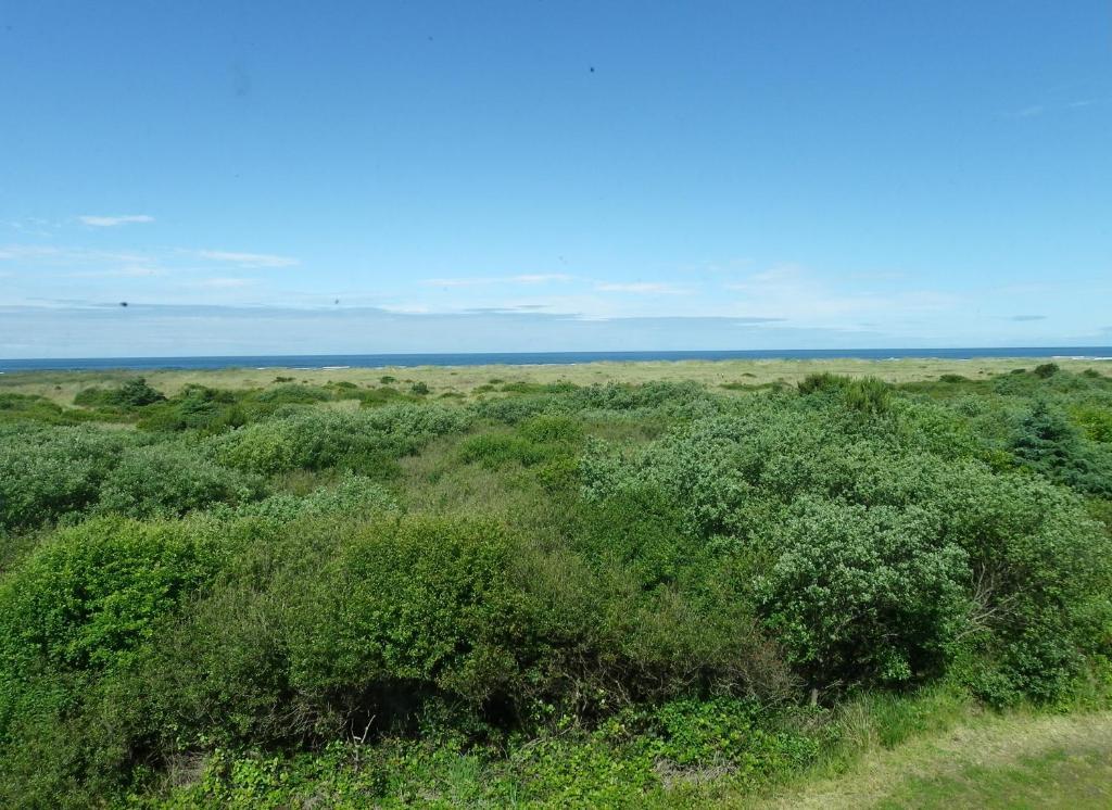 Quinault Sweet Grass Hotel Ocean Shores Bagian luar foto